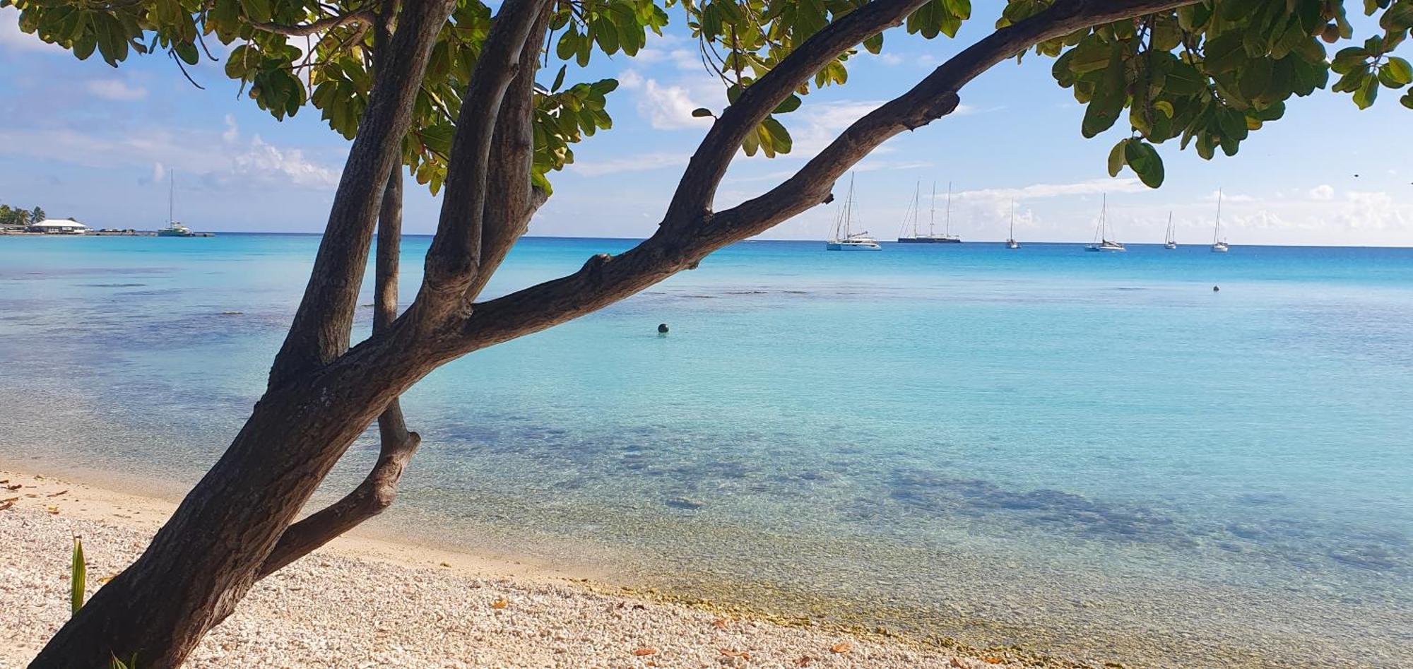 Poe Guesthouse Rangiroa Dış mekan fotoğraf